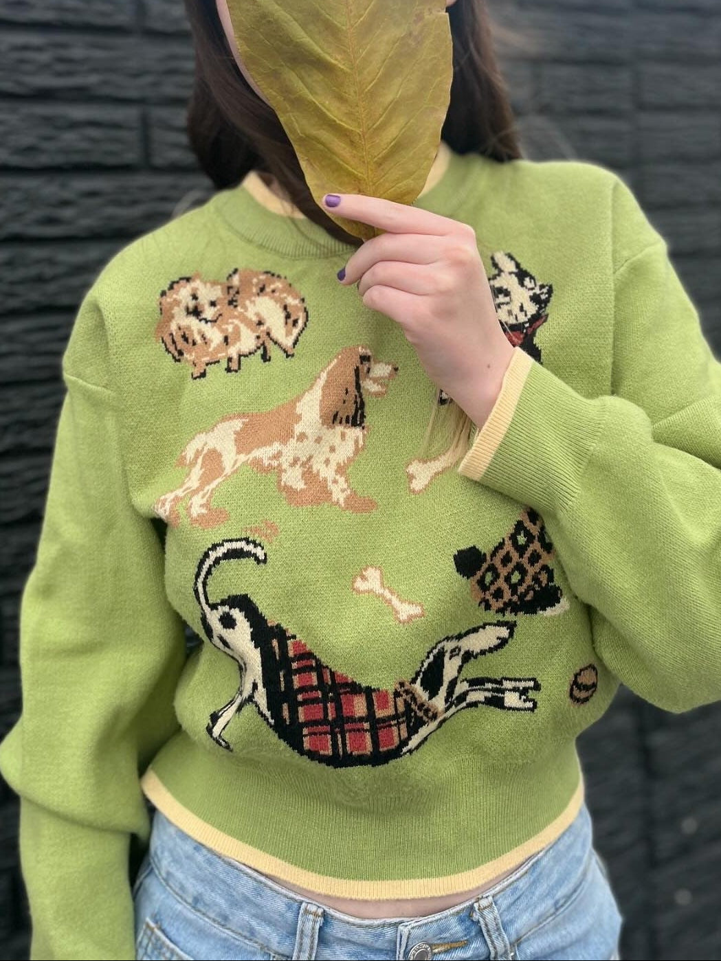 Women's Playful Puppy Pattern Relaxed Fit Knit Top